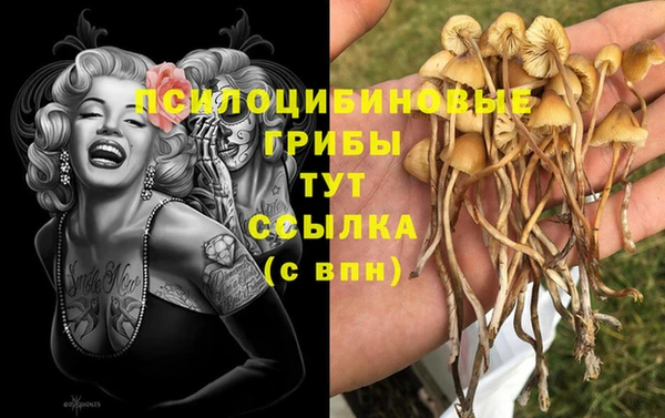 мет Алексин