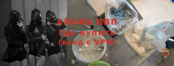 мет Алексин