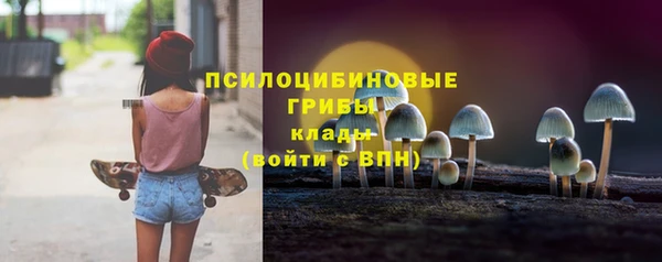 мет Алексин