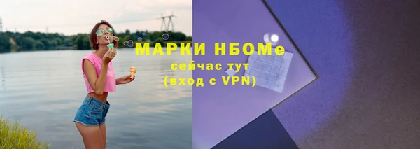 мет Алексин