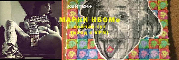 мет Алексин