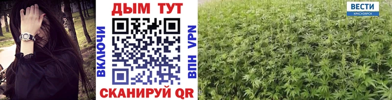 Канабис VHQ  Ессентукская 